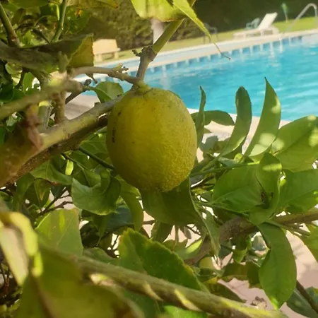 Wikos * Punta Prima (Alicante)