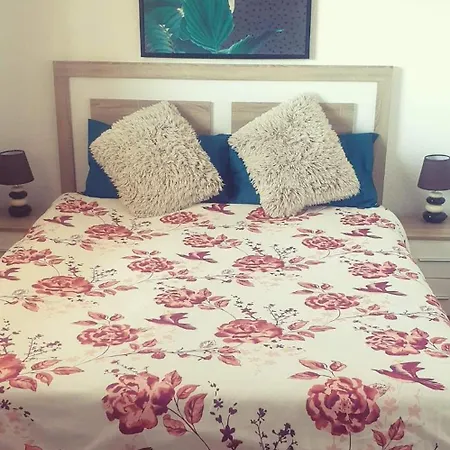 Apartamento Wikos *